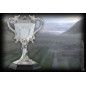 Copa Torneo de los 3 Magos - Harry Potter Triwizard Cup