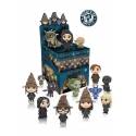Funko - Harry Potter Mystery Box Figura 10cm