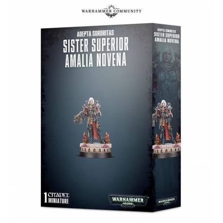 Sister Superior Amalia Novena