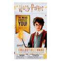 Mini Varita Mystery Harry Potter V2
